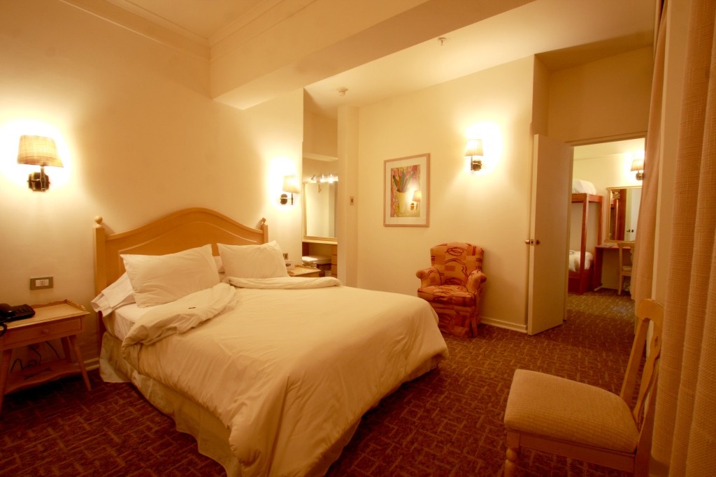 Hotel Portillo